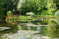 08 06 16_7191_edited-1